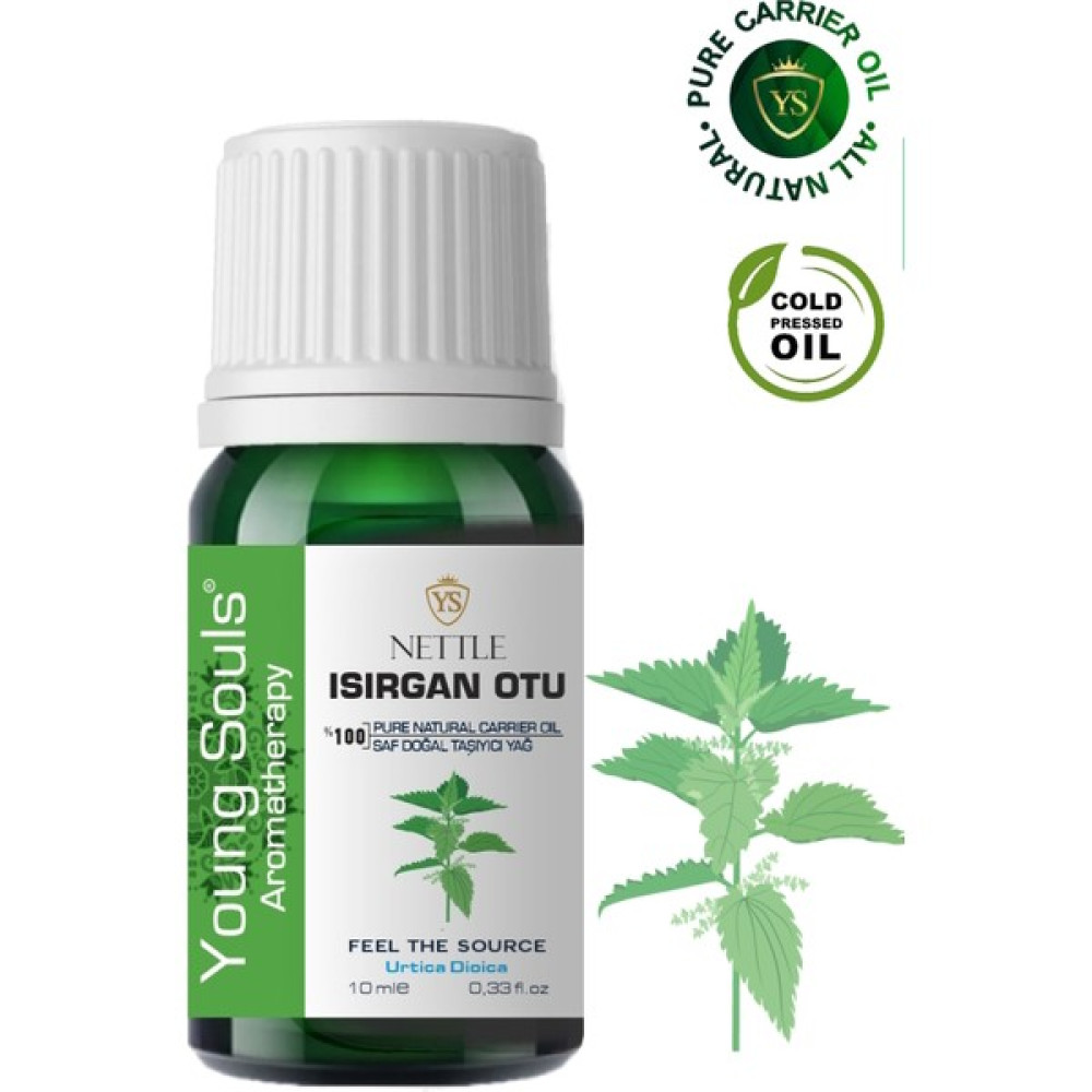 Young Souls Aromatherapy Nettle Carrier Oil Isırgan Otu Bitkisel Taşıyıcı Yağ 10 ml Oto Boyaları Fiyatı