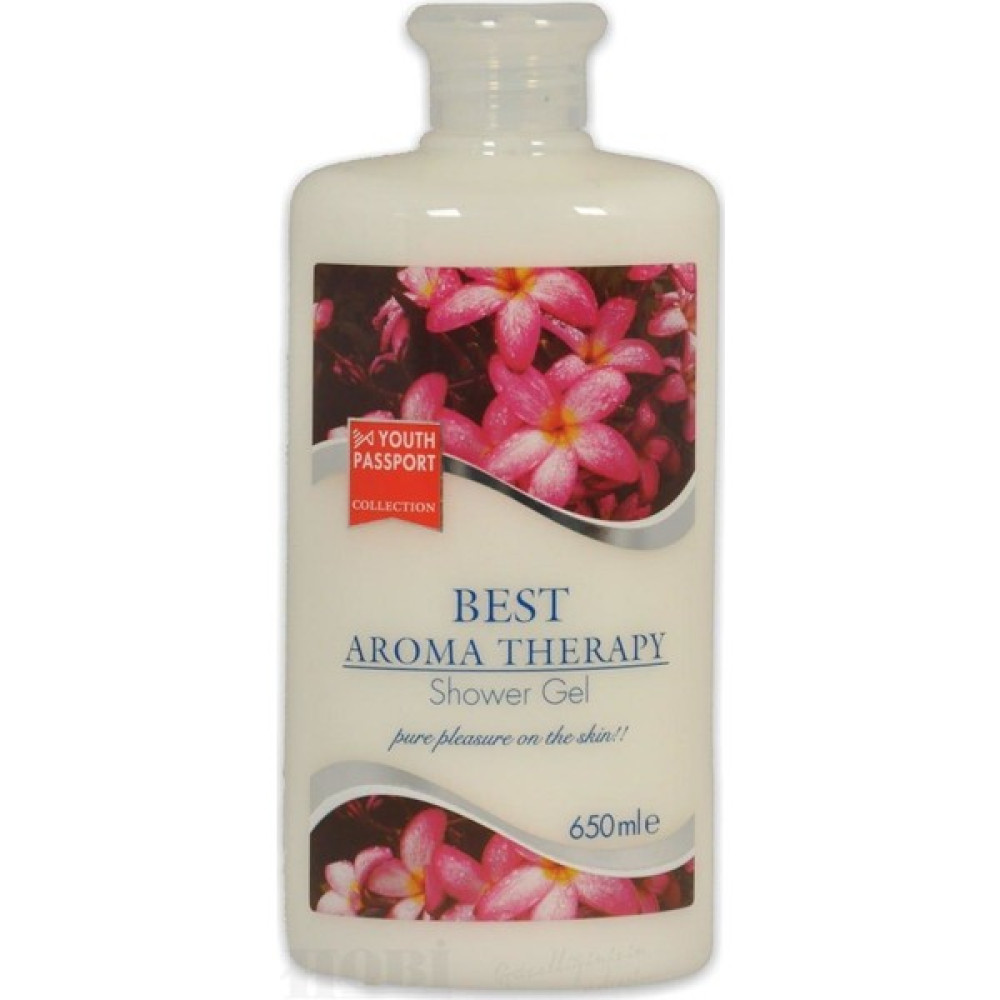 Youth Passport Best Aroma Therapy Duş Jeli 650 ml Oto Boyaları Fiyatı