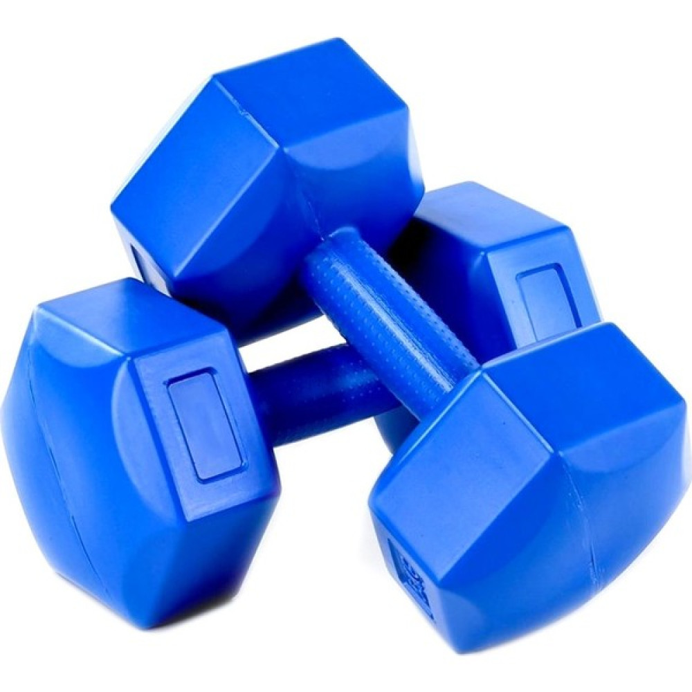 Yukon Dambıl 2 kg x 2 Adet Dumbbell Dambıl Seti Egzersiz Seti Dambıllar & El / Ayak Ağırlıkları Fiyatı