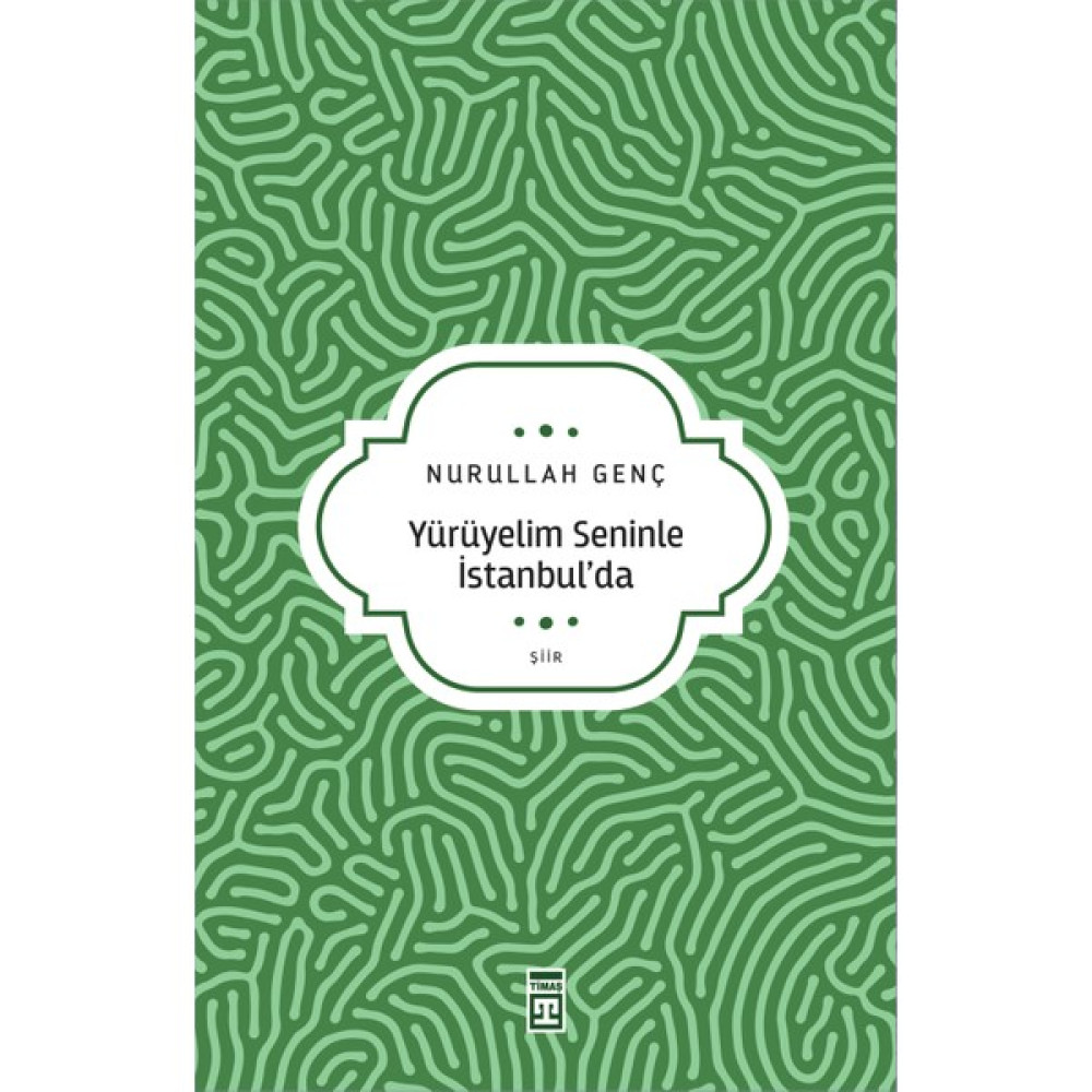 Yürüyelim Seninle Istanbul’da - Nurullah Genç Şiir Kitapları Fiyatı