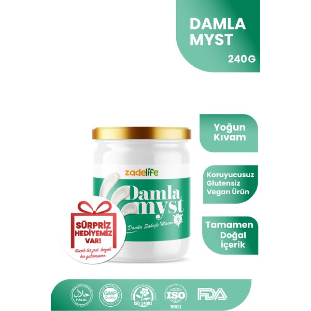 Zadelife Damlamyst Damla Sakızı Macunu 240 gr Diğer Fiyatı