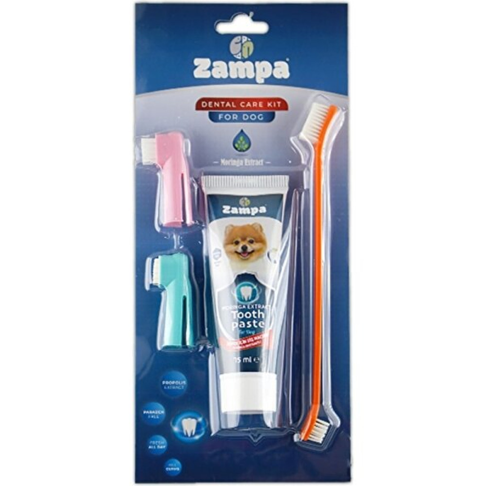 Zampa Köpekler Için Diş Fırçalama Seti 22CM-70GR Evcil Hayvan Ürünleri Fiyatı