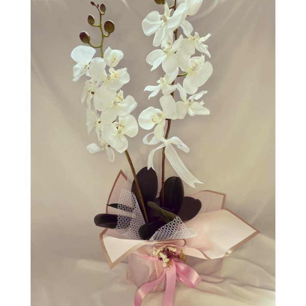 Zb Flowers Saksıda Yapay Orkide 2 Dal Beyaz Orkide,sevgiliye Hediye,anneye Hediye,masa Çiçeği Ev & Dekorasyon Aksesuarları Fiyatı