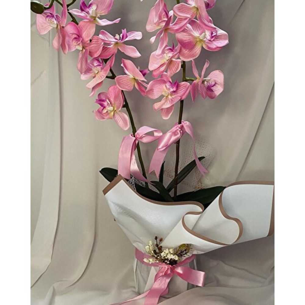 Zb Flowers Saksıda Yapay Orkide 2 Dal Pembe Orkide,sevgiliye Hediye,anneye,vazoda Çiçek Ev & Dekorasyon Aksesuarları Fiyatı