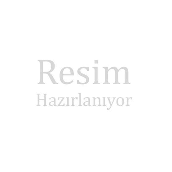 Zebra GK 420T Barkod Yazıcı