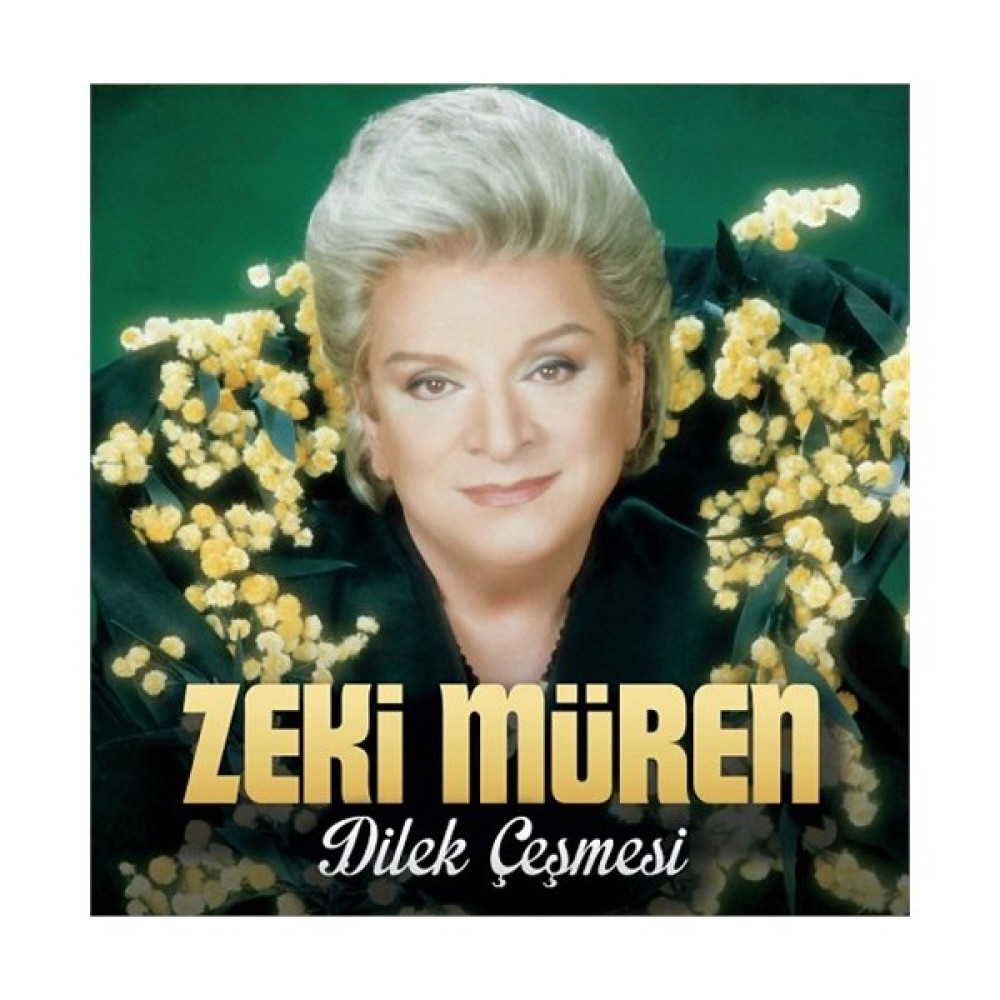 Zeki Müren - Dilek Çeşmesi (Plak) Pikap & Aksesuarları Fiyatı