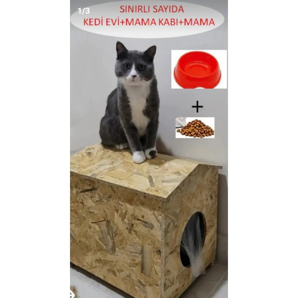 Zekimöble Dış Mekan Yağmura Ve Soğuğa Dayanıklı Osb Kedi Evi (deniz Tutkallı) Kedi Evi Ahşap Evcil Hayvan Ürünleri Fiyatı