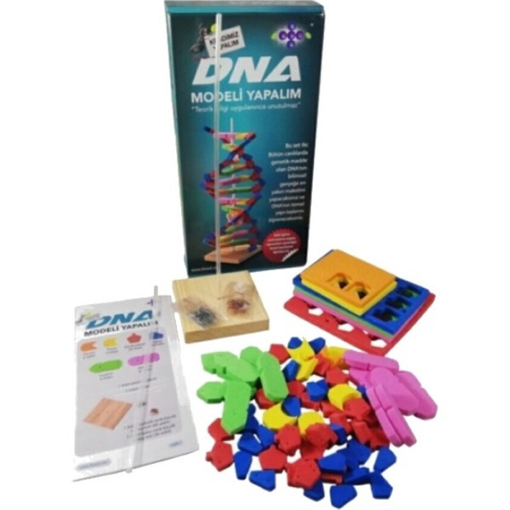 Zemes Design Dna Modeli Yapalım Dna Yapım Seti Eğitici Oyuncak Fiyatı