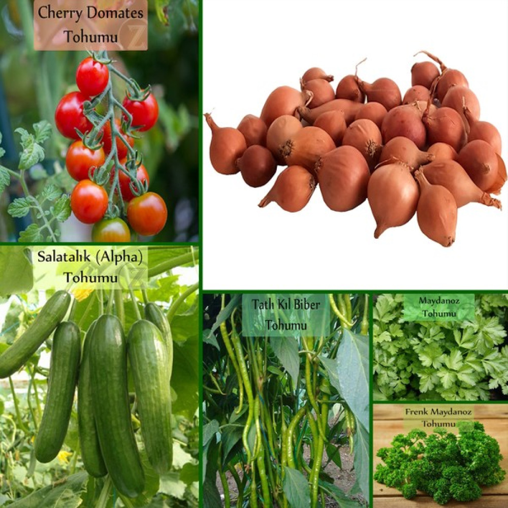 Zencefil Organik 6 Paket Tohum No7 Iska 1 Kg. Arpacık Soğan Çeri Domates Salatalık Tatlı Biber Frenk Maydanoz Tohumu Sebze Tohumu - 1 Adet Tohum Fiyatı