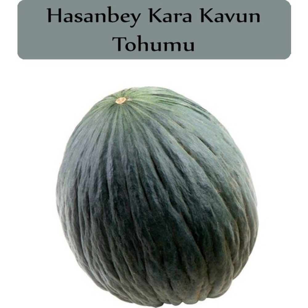 Zencefil Organik Hasanbey Kavun Tohumu 1 Paket (10GR=300+ Adet) Kara Kavun Tohumu - 10 gr Oto Boyaları Fiyatı
