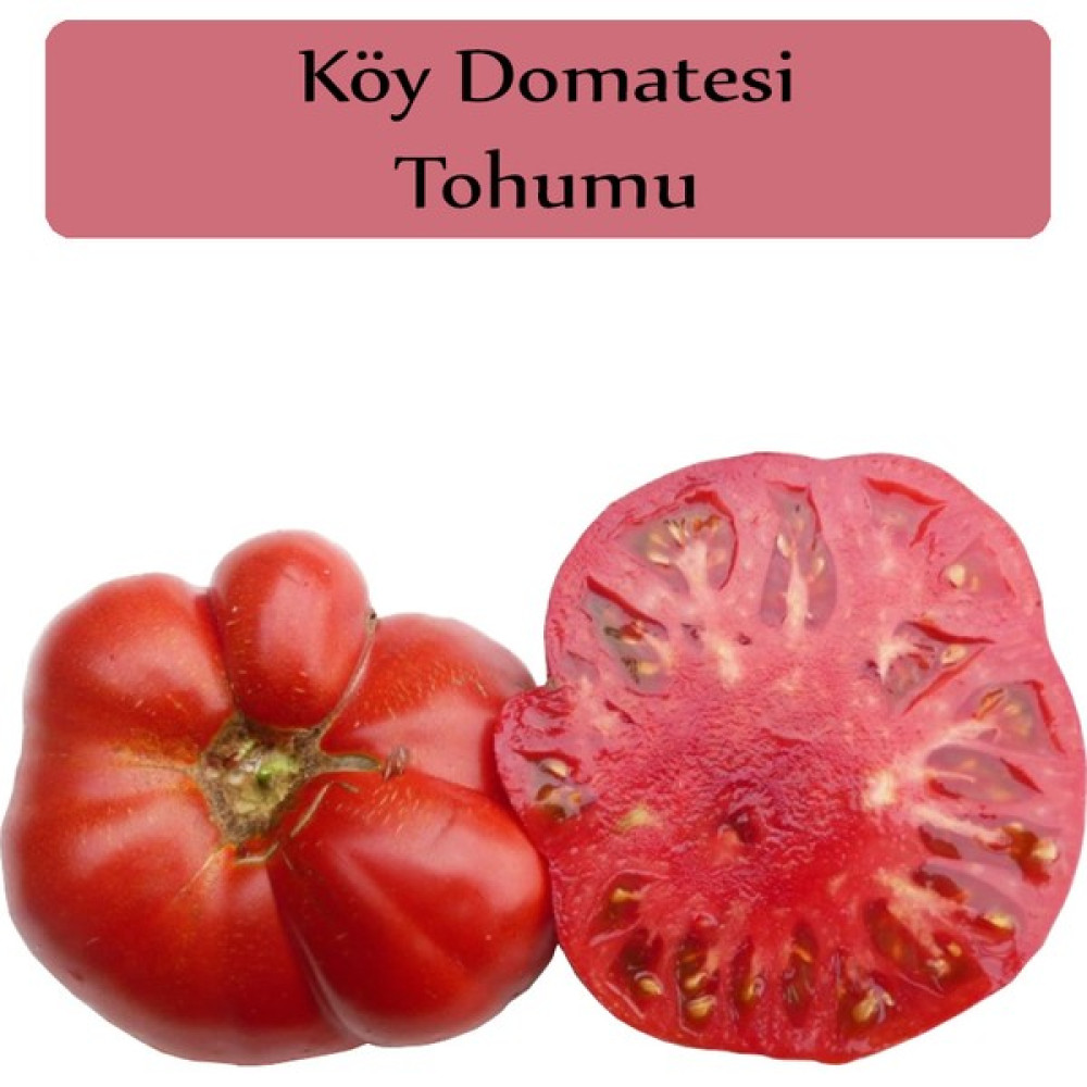 Zencefil Organik Köy Domatesi Tohumu 1 Paket (3GR=850+ Adet) Domates Tohumu - 3 gr Tohum Fiyatı
