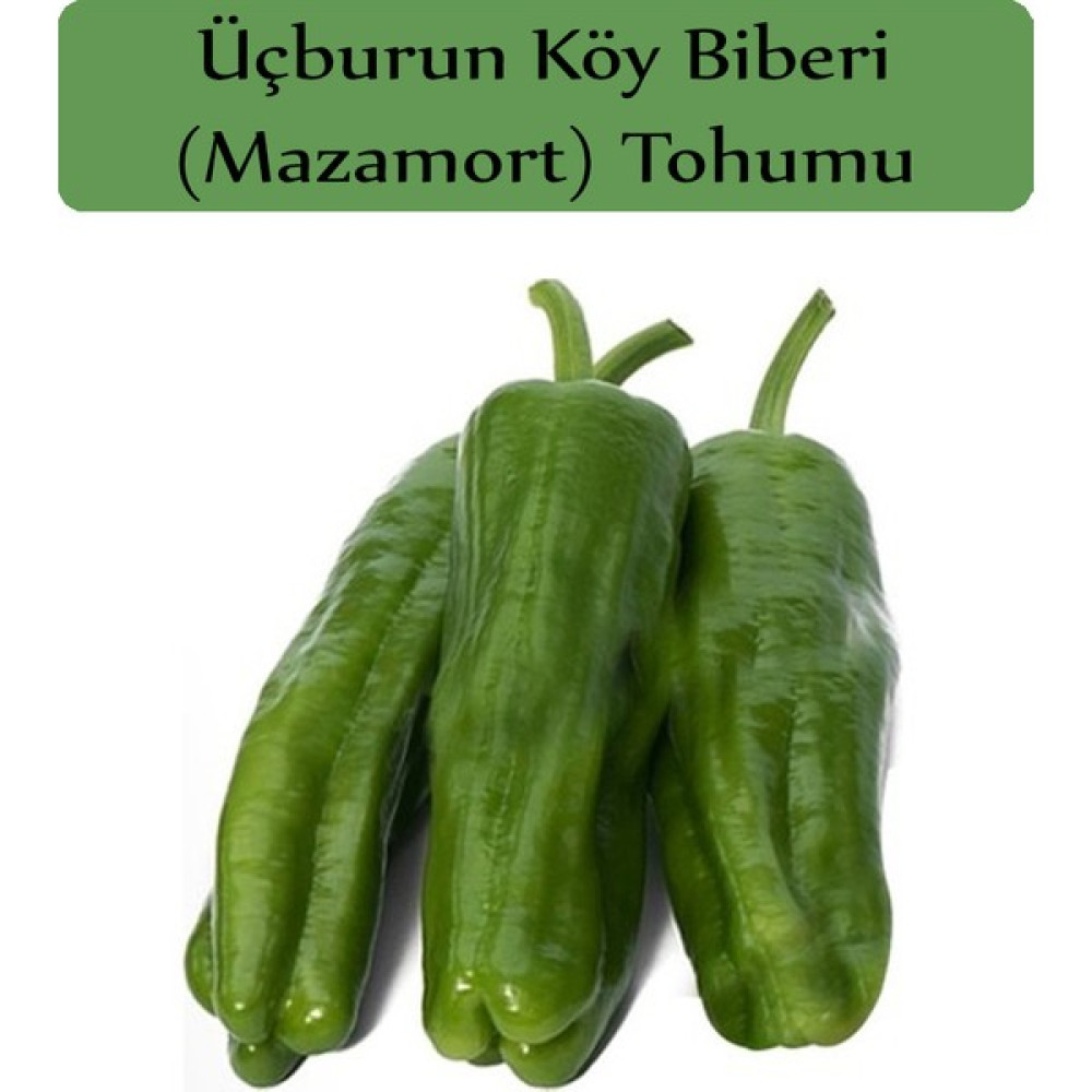 Zencefil Organik Mazamort Biber Tohumu 1 Paket (10 GR=1000+ Adet) Üç Burun Biber Tohumu - 1000 Adet Tohum Fiyatı