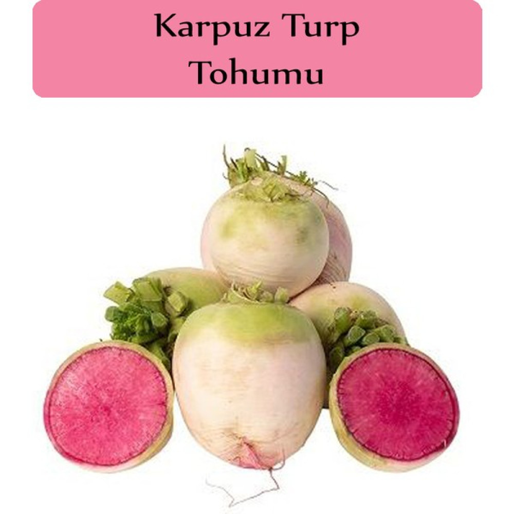 Zencefil Organik Turp Tohumu 1 Paket (5GR=500+ Adet) Karpuz Turp Tohumu - 5 gr Tohum Fiyatı