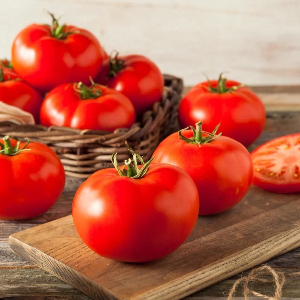Zengarden Manitoba Domates Tohumu Saksılık Iri Boy Geleneksel Manitoba Tomato - 1 Paket Saksı ve Aksesuarları Fiyatı