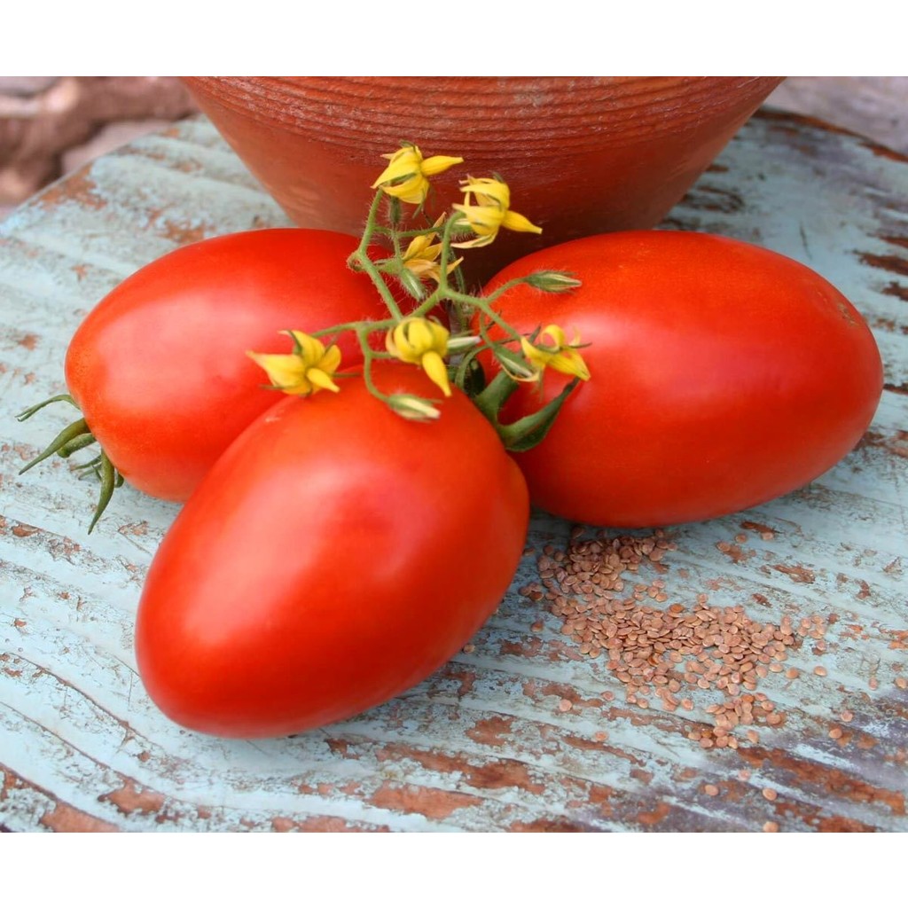 Zengarden Roma Domates Tohumu Geleneksel Rome Tomato Heirloom Seeds - 1 Paket Diğer Fiyatı