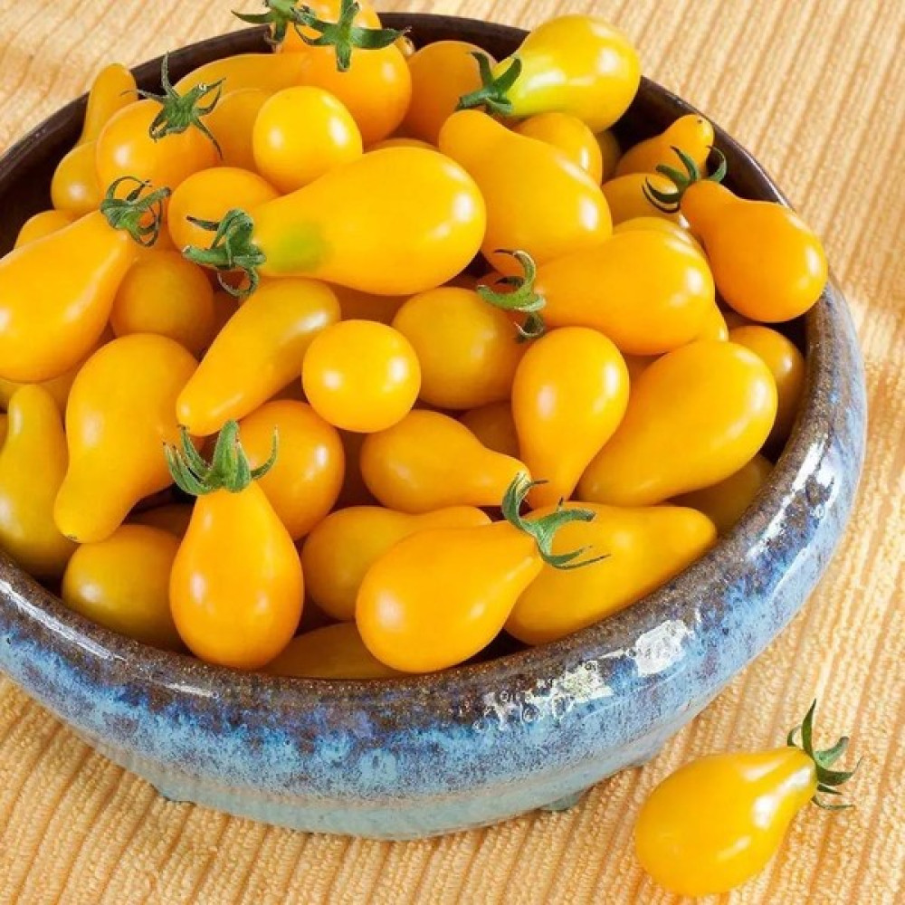 Zengarden Sarı Ampul Domates Tohumu Geleneksel Armut Domatesi Yellow Pear Heirloom - 1 Adet Tohum Fiyatı