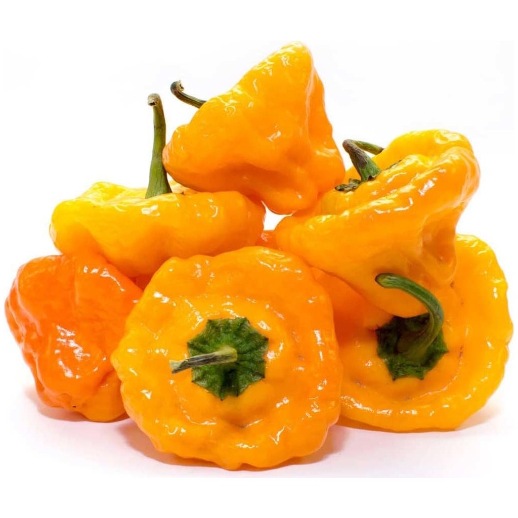 Zengarden Sarı Jamaika Acı Biber Tohumu Yellow Scotch Bonnet Jamaican - 1 Paket Diğer Fiyatı