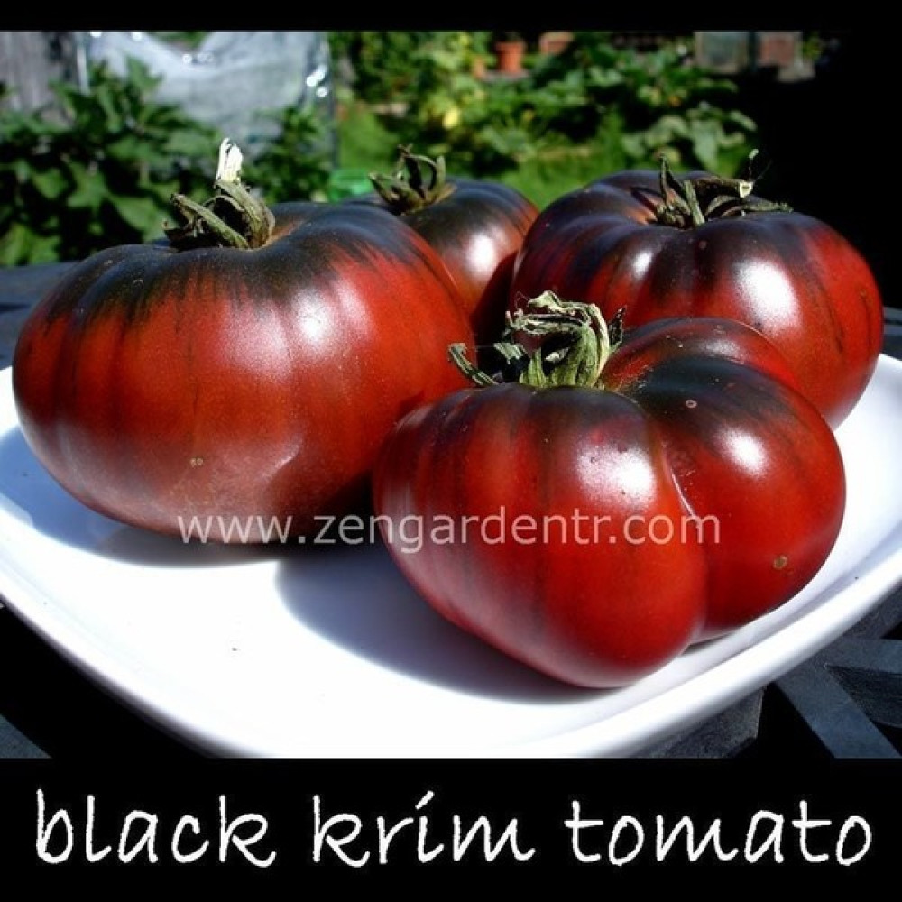 Zengarden Siyah Black Krim Domates Tohumu Dünyanın En Lezzetli Domatesi - 1 Adet Tohum Fiyatı