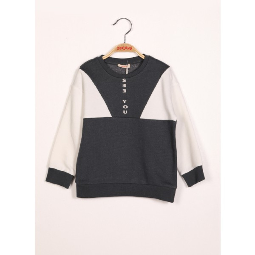 Zeyland Erkek Çocuk Şardonlu Spor Sweatshirt (2-7yaş) Erkek Çocuk Sweatshirt Fiyatı
