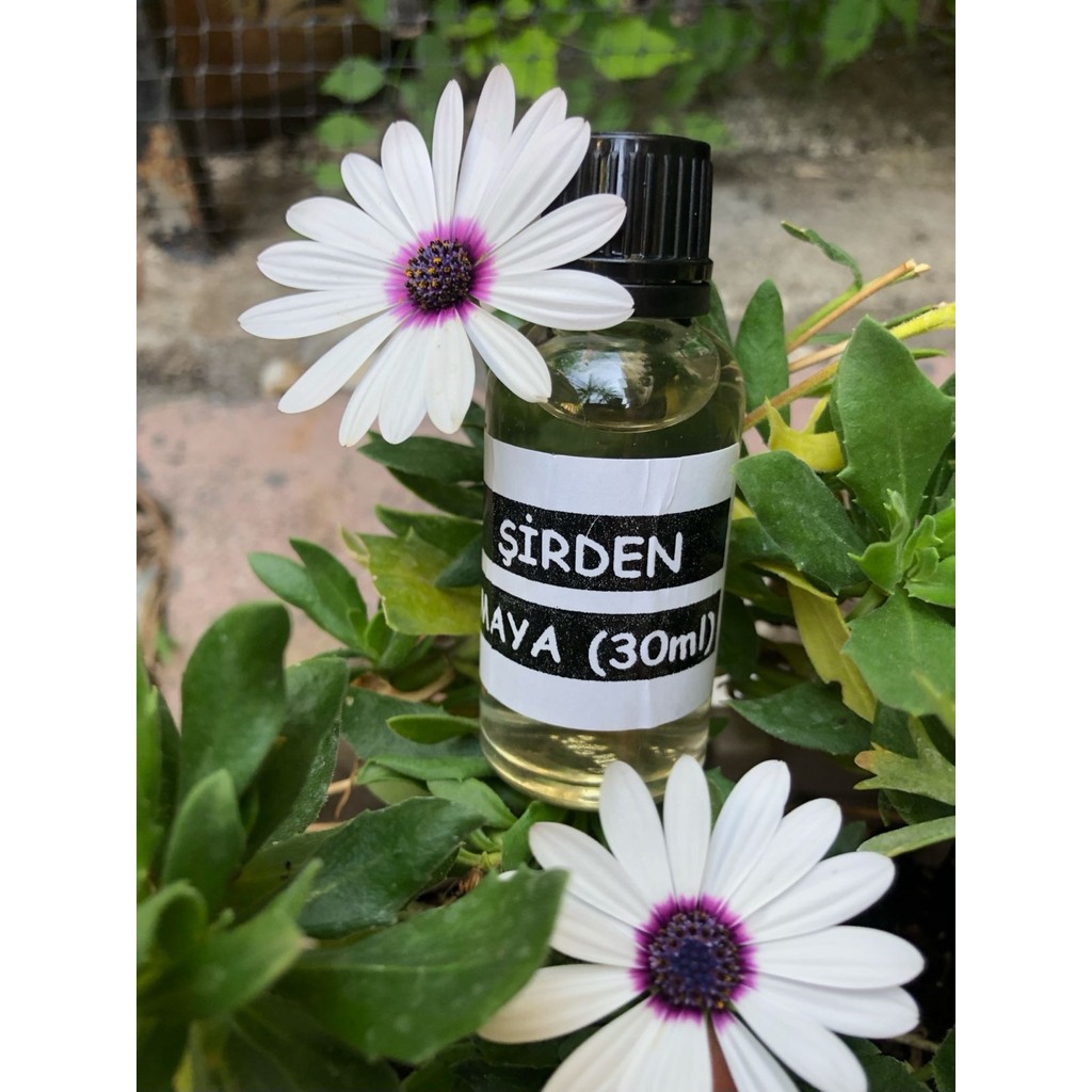 Zeytinli Keçi Çiftliği Şirden Peynir Mayası 30 ml (ÖZEL AMBALAJLI, EN İYİ AROMAYI VEREN) - 30 gr Diğer Fiyatı