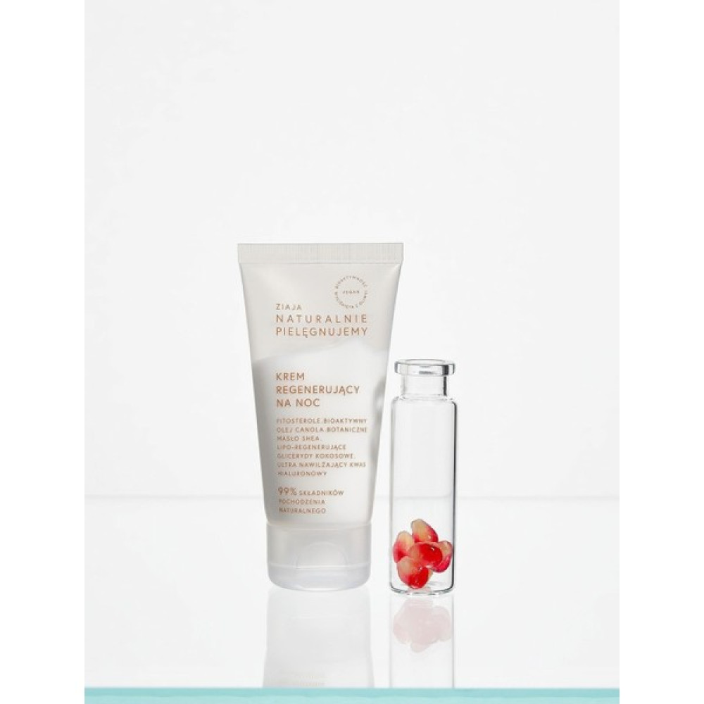 Ziaja Natural Care Canlandırıcı Gece Kremi 50ML Nemlendiriciler Fiyatı