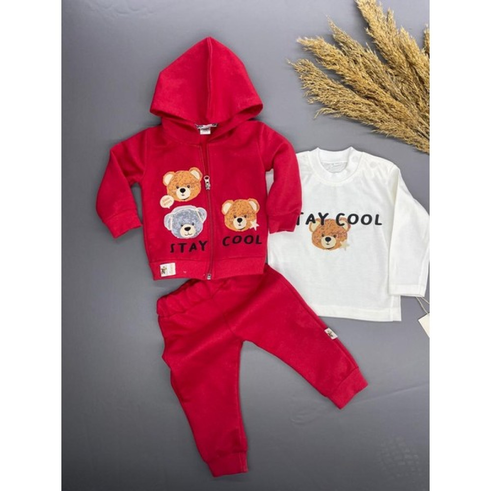 Zimboo Stay Cool Ayı Baskılı 2 Ip Mevsimlik Erkek Bebek Hırkalı 3 Lü Takım Bebek Eşofman Fiyatı