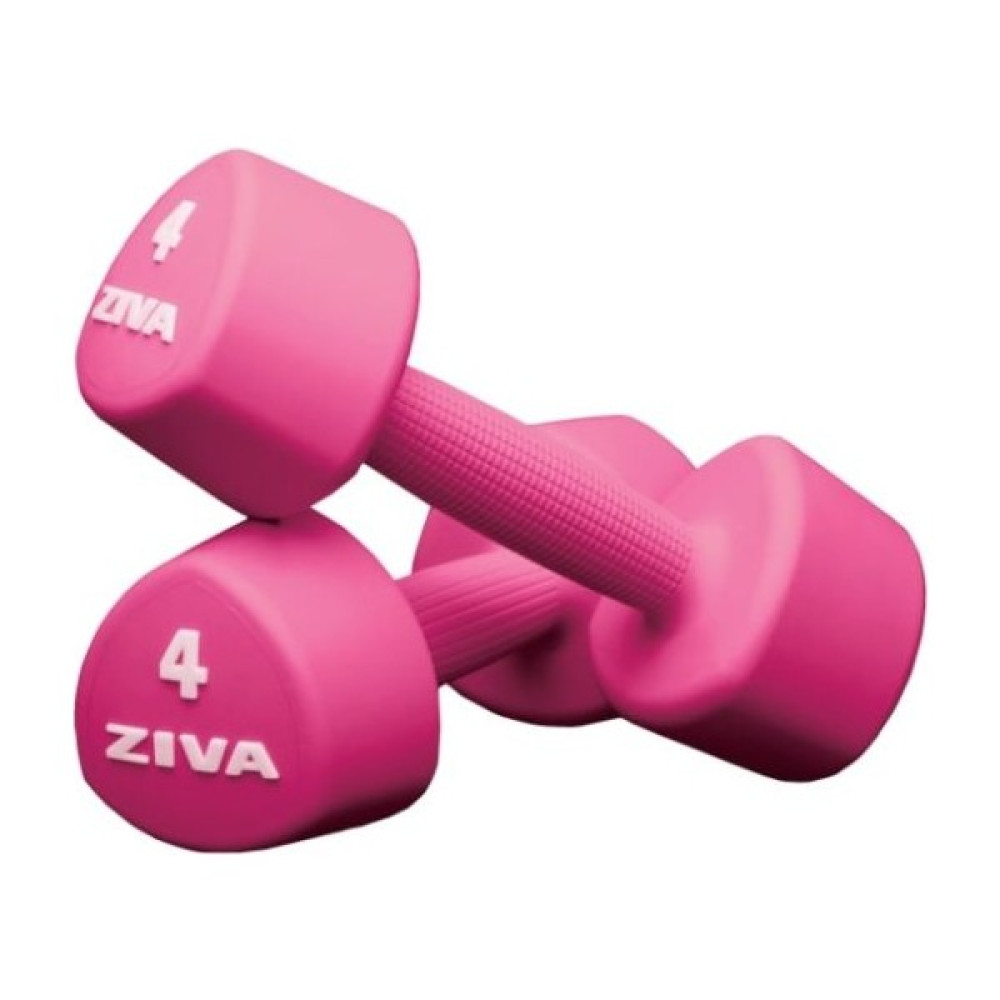 Zıva Chic Stüdyo Tribell Dambıl 5 kg Dambıllar & El / Ayak Ağırlıkları Fiyatı
