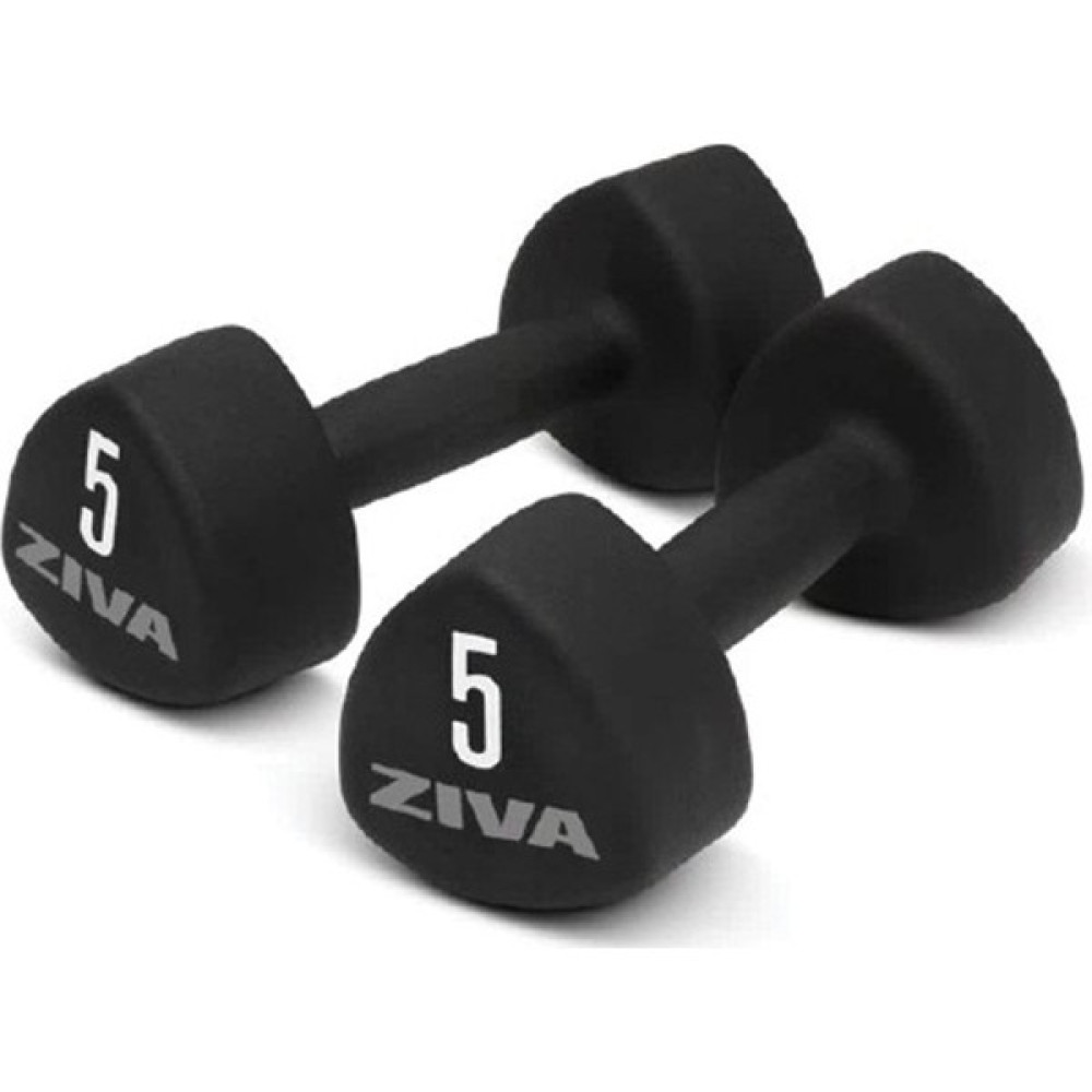 Ziva Neoprene Dambıl - 1 kg x 2 Adet Oto Boyaları Fiyatı