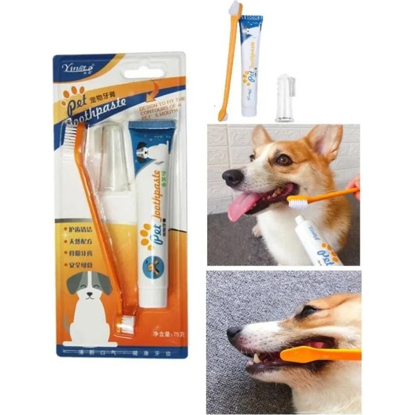 Zorlu Home Kedi Köpek Diş Fırçası ve Diş Macunu Seti Yenilebilir Diş Macunu Dental Kit Ağız ve Diş Sağlık Seti Evcil Hayvan Ürünleri Fiyatı