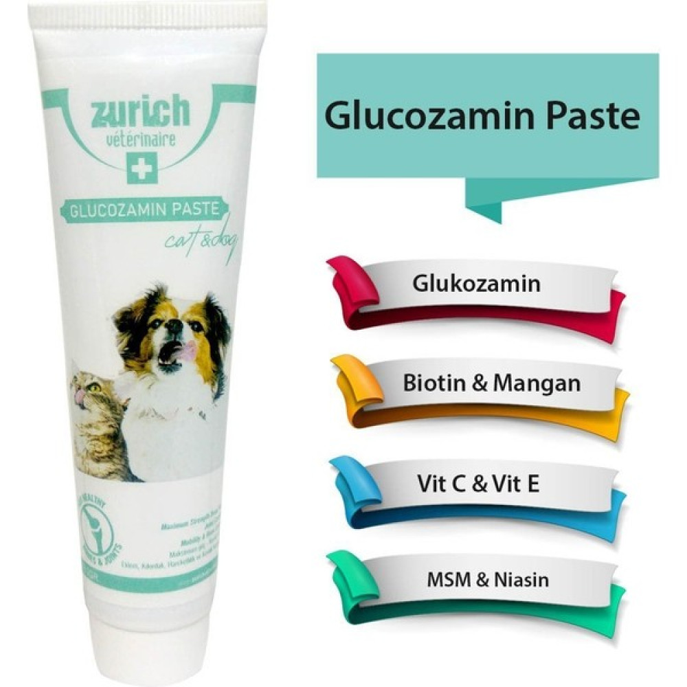 Zurich Cat & Dog Paste Oto Boyaları Fiyatı