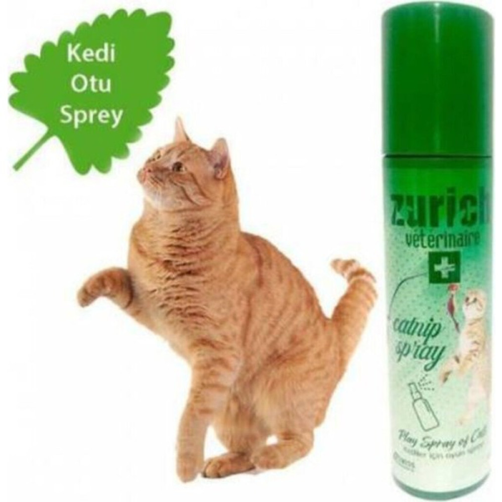 Zurich Catnip Kedi Otu Spreyi 150 ml Evcil Hayvan Ürünleri Fiyatı